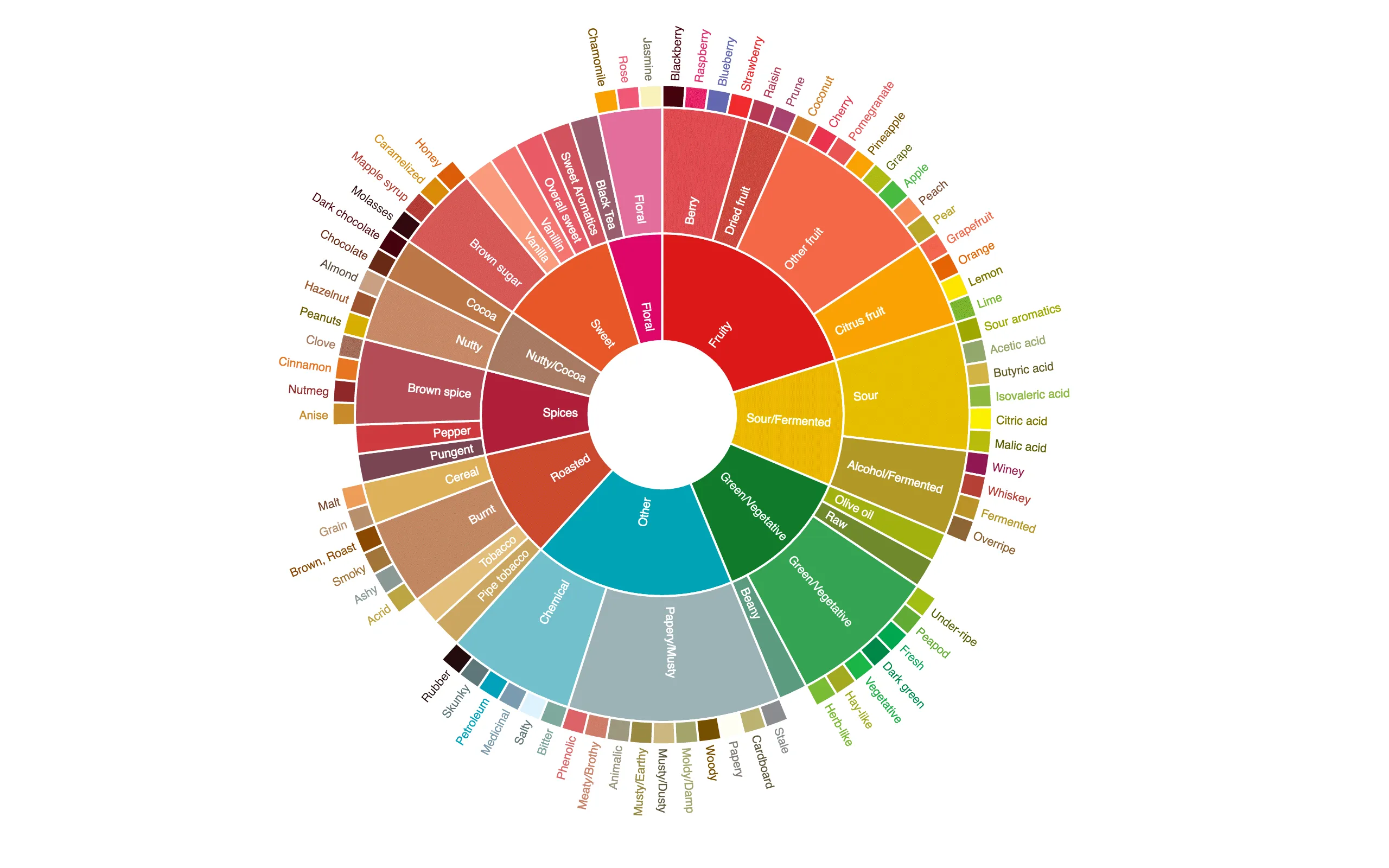 Coffee Flavor Wheel